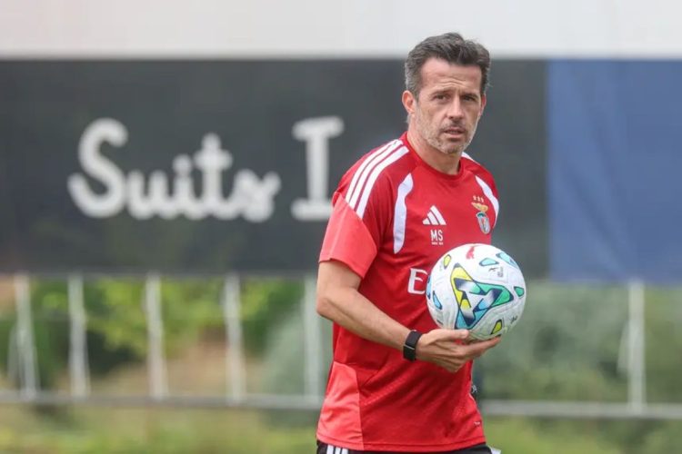 Marco silva (créditos benfica)
