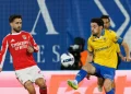 Pizzi revela o que marco silva tem de fazer para levar o benfica aos títulos